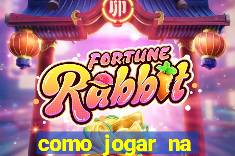 como jogar na seninha online